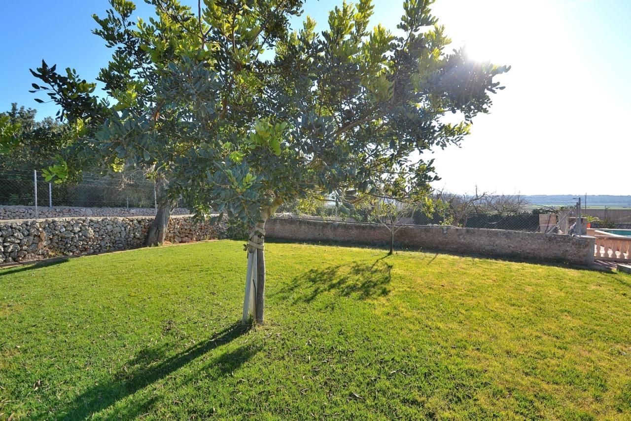 Holiday home 078 Sa Rota Vt1953 By Mallorca Charme *